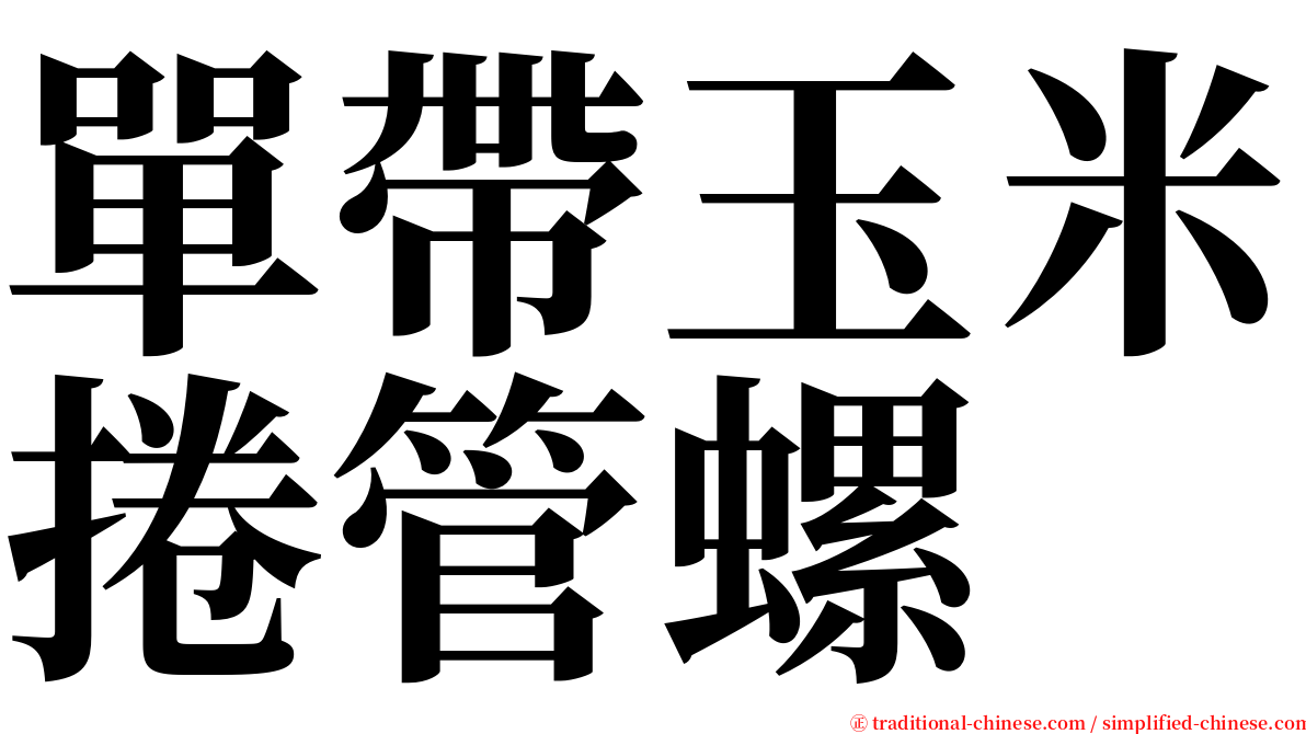 單帶玉米捲管螺 serif font