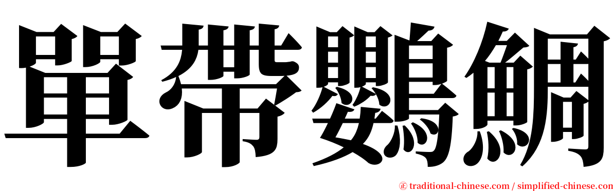 單帶鸚鯛 serif font