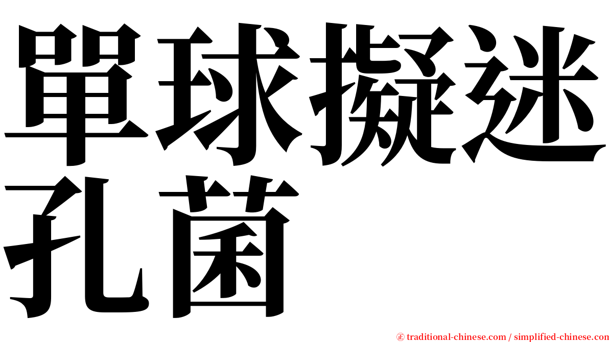 單球擬迷孔菌 serif font