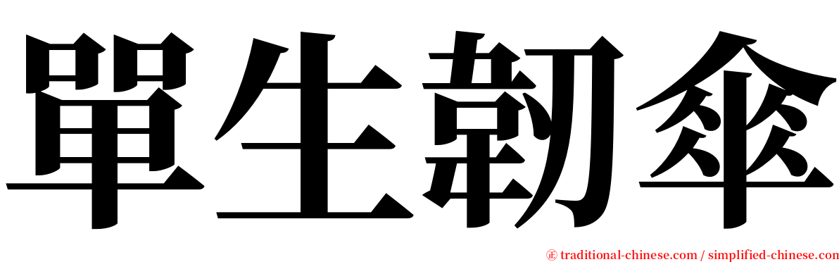 單生韌傘 serif font