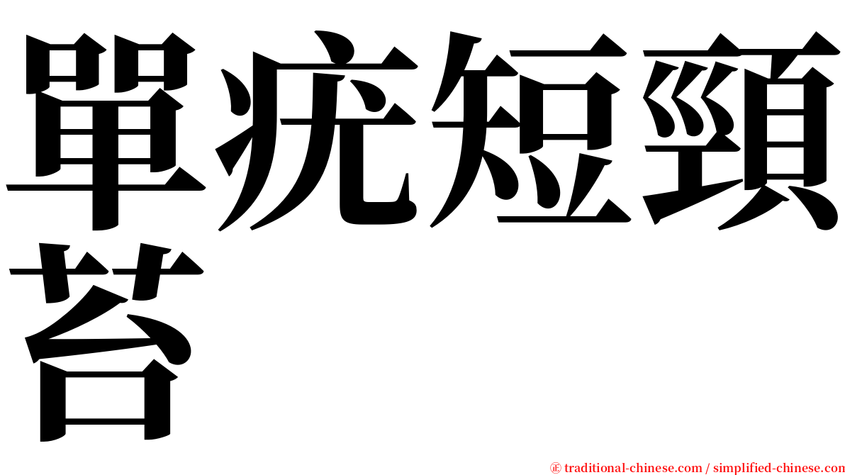 單疣短頸苔 serif font