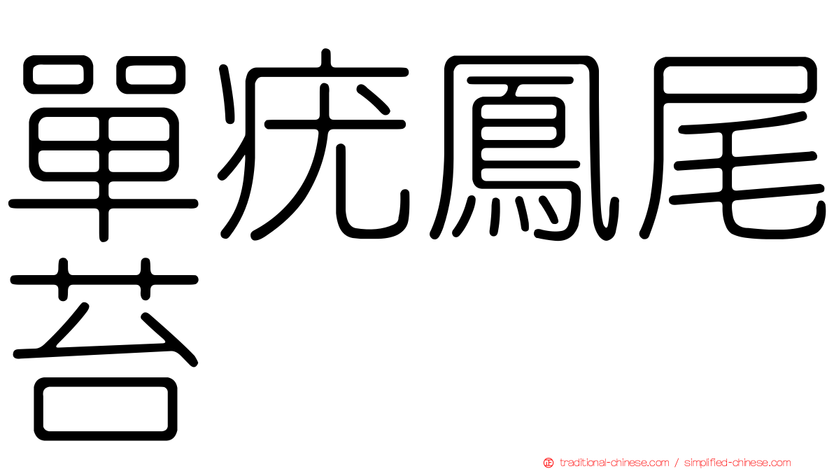 單疣鳳尾苔