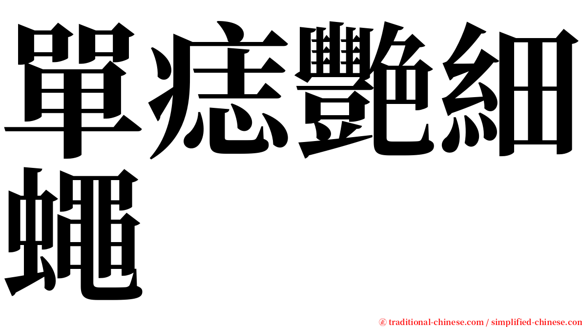 單痣艷細蠅 serif font