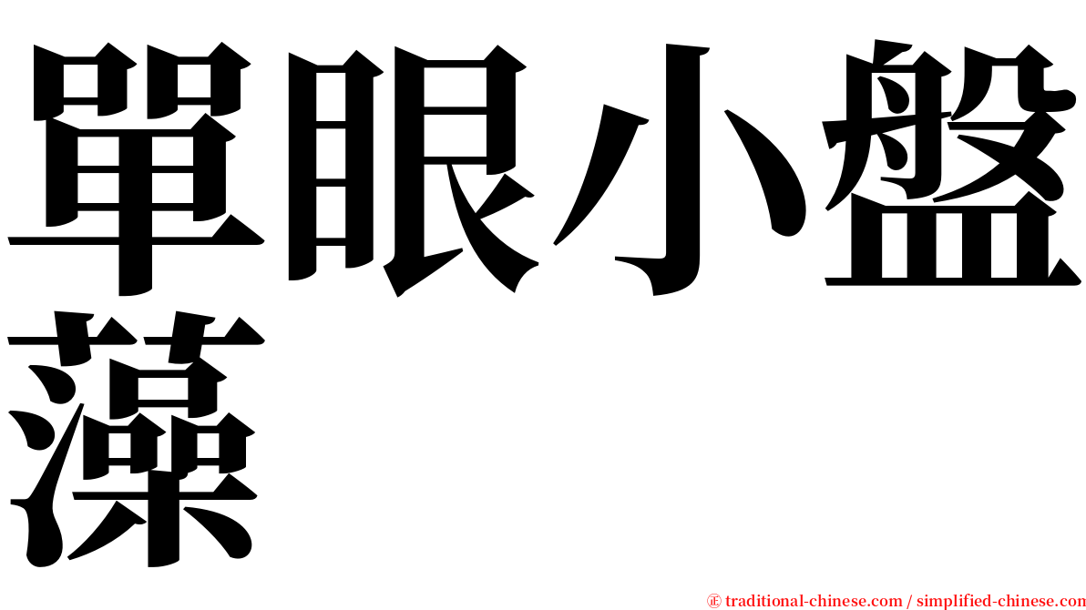 單眼小盤藻 serif font