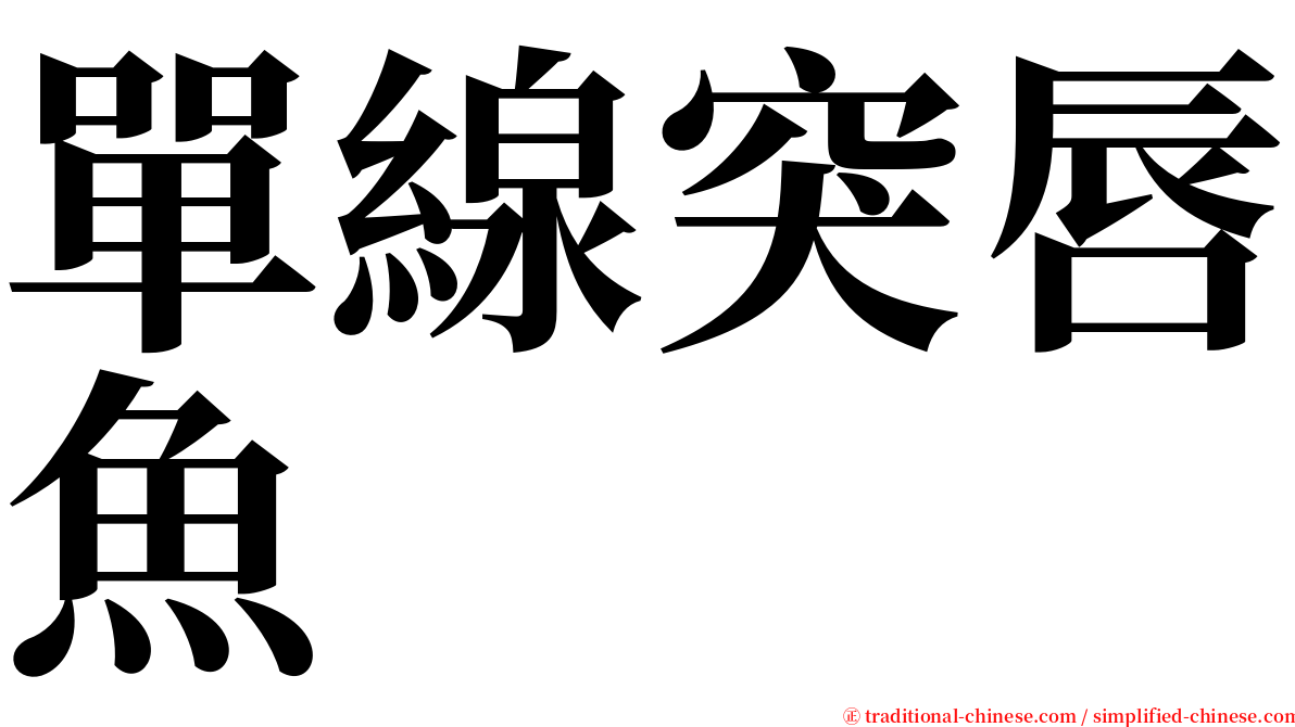 單線突唇魚 serif font