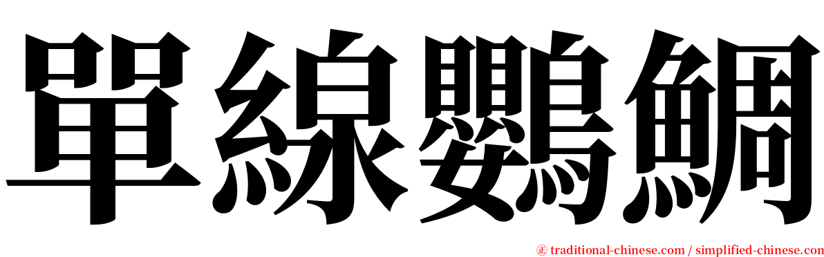 單線鸚鯛 serif font