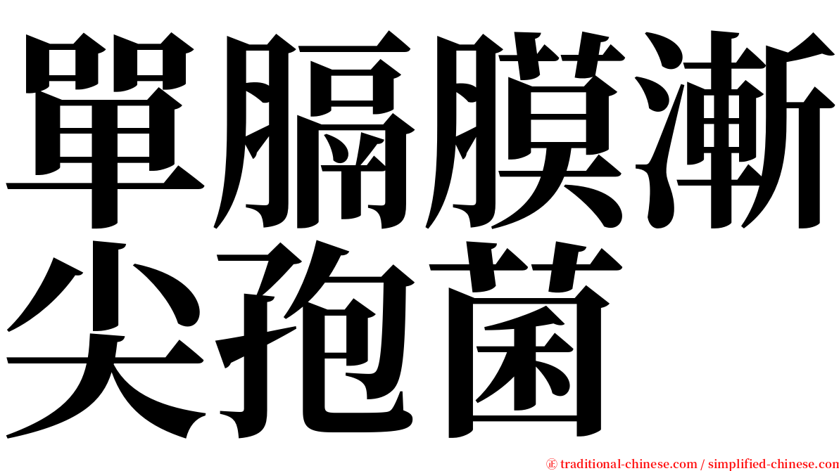 單膈膜漸尖孢菌 serif font