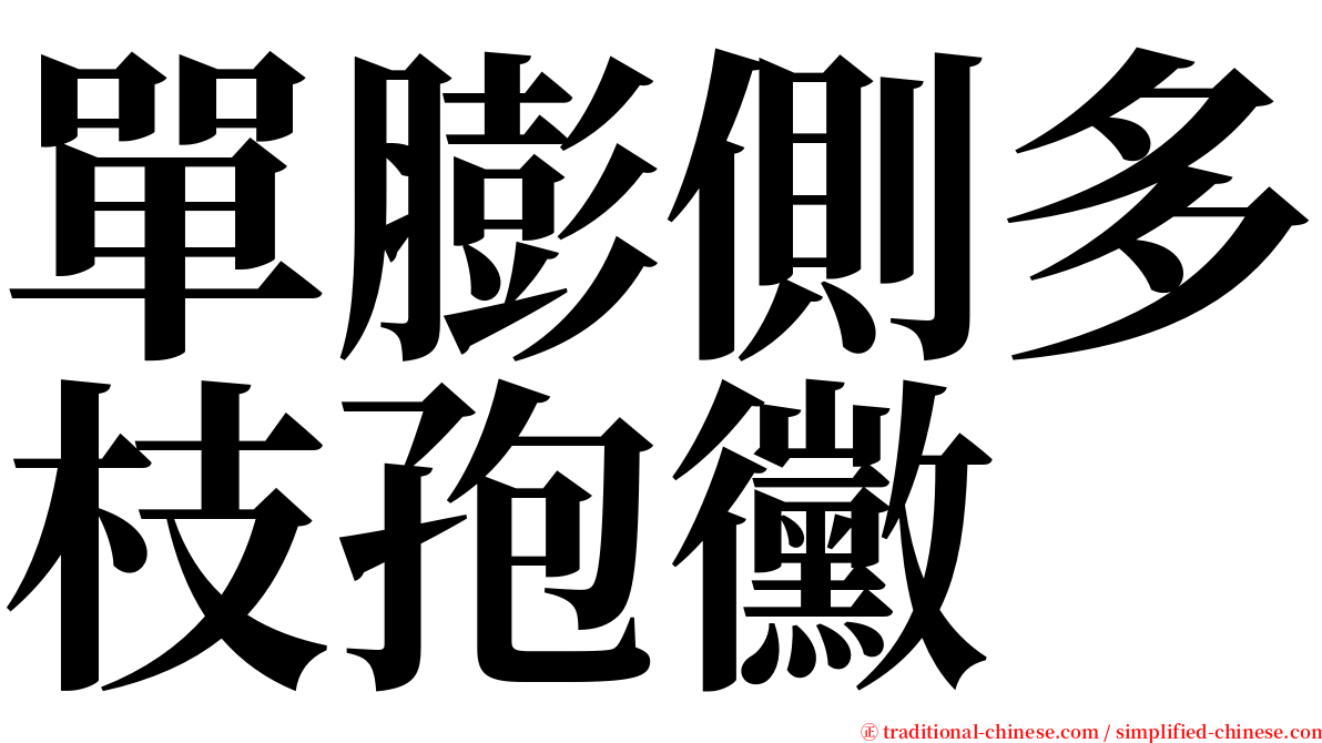 單膨側多枝孢黴 serif font