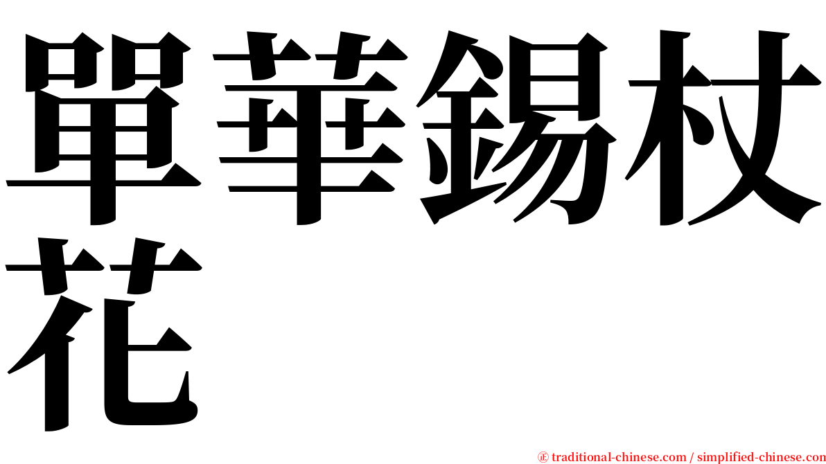 單華錫杖花 serif font