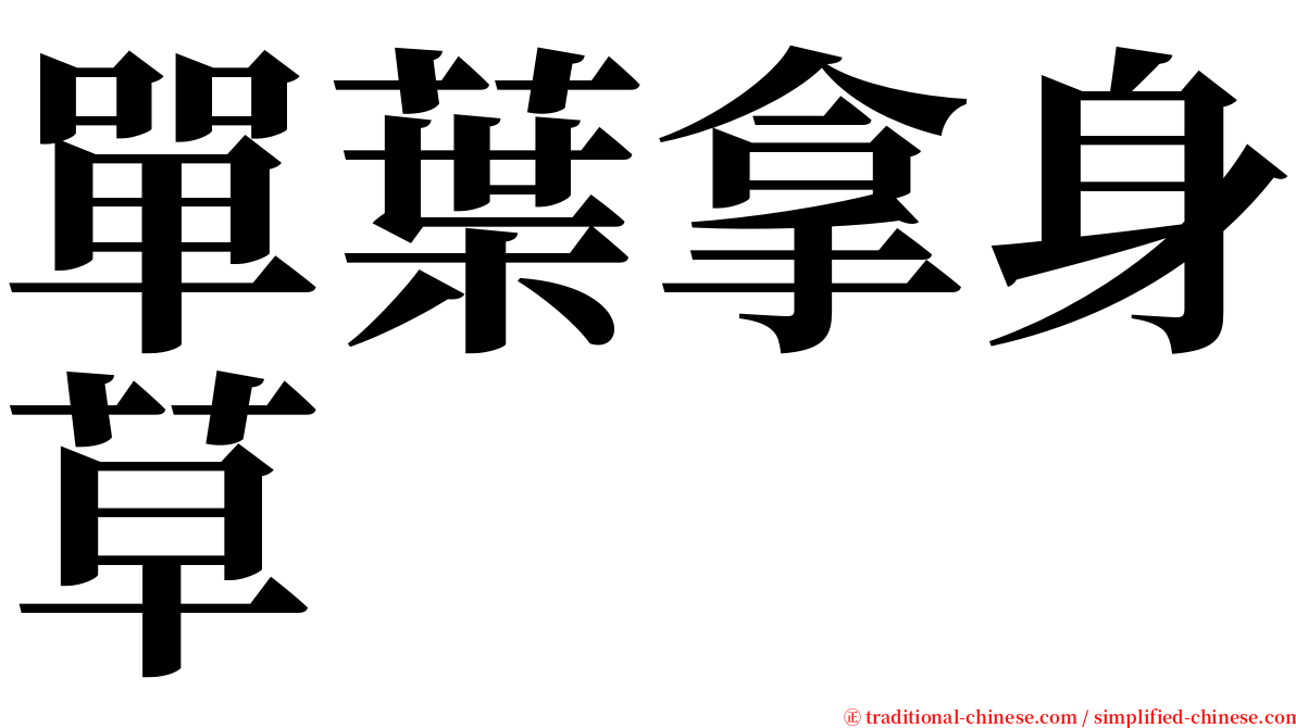 單葉拿身草 serif font