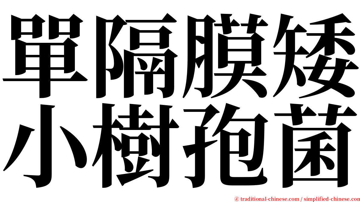 單隔膜矮小樹孢菌 serif font