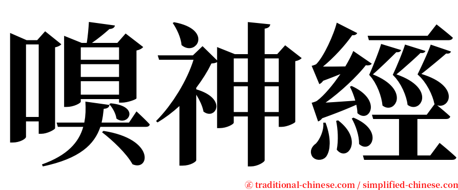 嗅神經 serif font