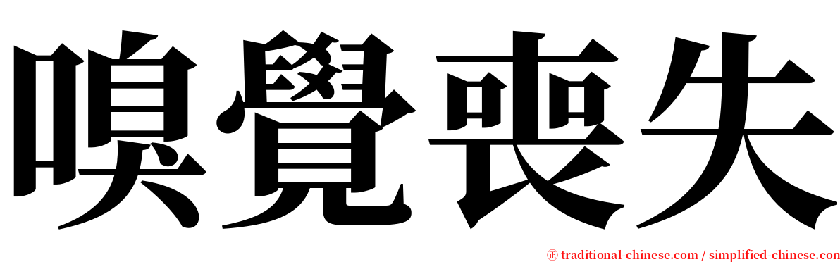 嗅覺喪失 serif font