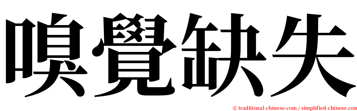 嗅覺缺失 serif font