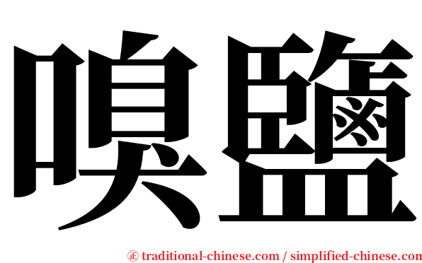 嗅鹽 serif font