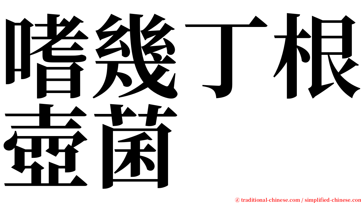 嗜幾丁根壺菌 serif font