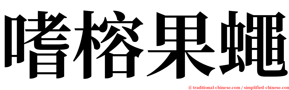 嗜榕果蠅 serif font