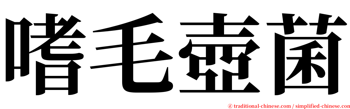 嗜毛壺菌 serif font