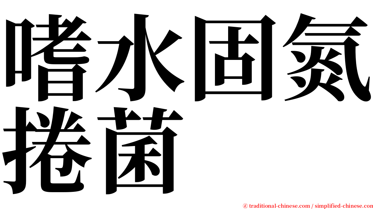 嗜水固氮捲菌 serif font