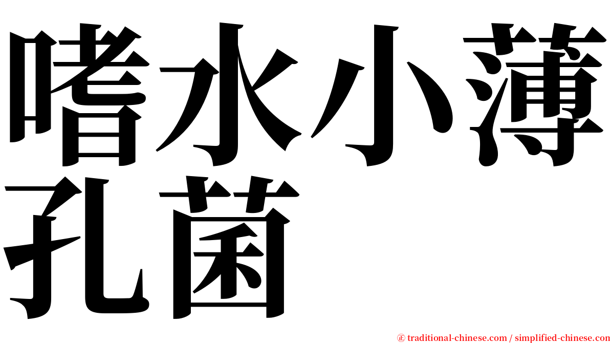 嗜水小薄孔菌 serif font