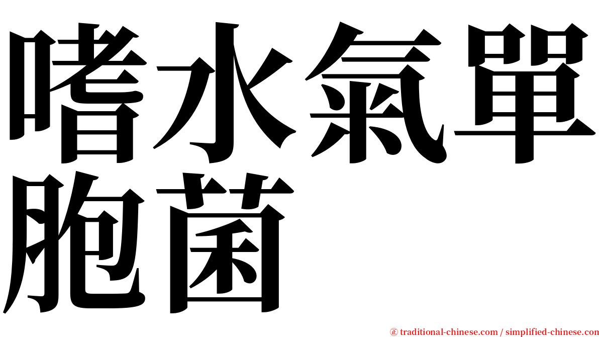 嗜水氣單胞菌 serif font