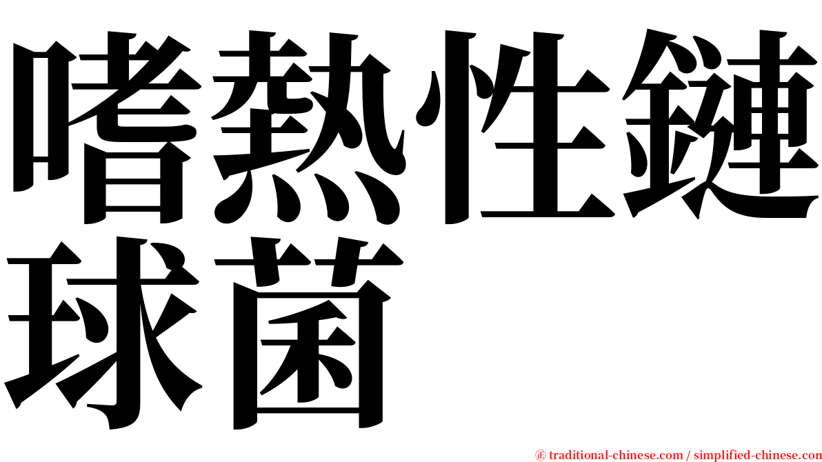 嗜熱性鏈球菌 serif font