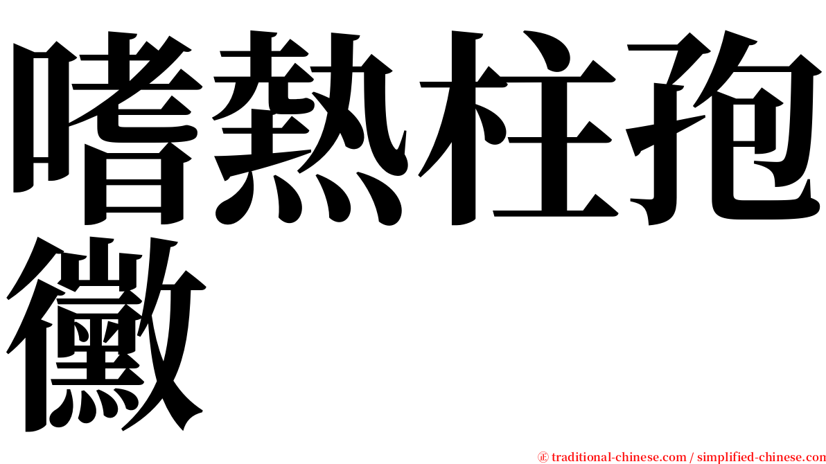 嗜熱柱孢黴 serif font