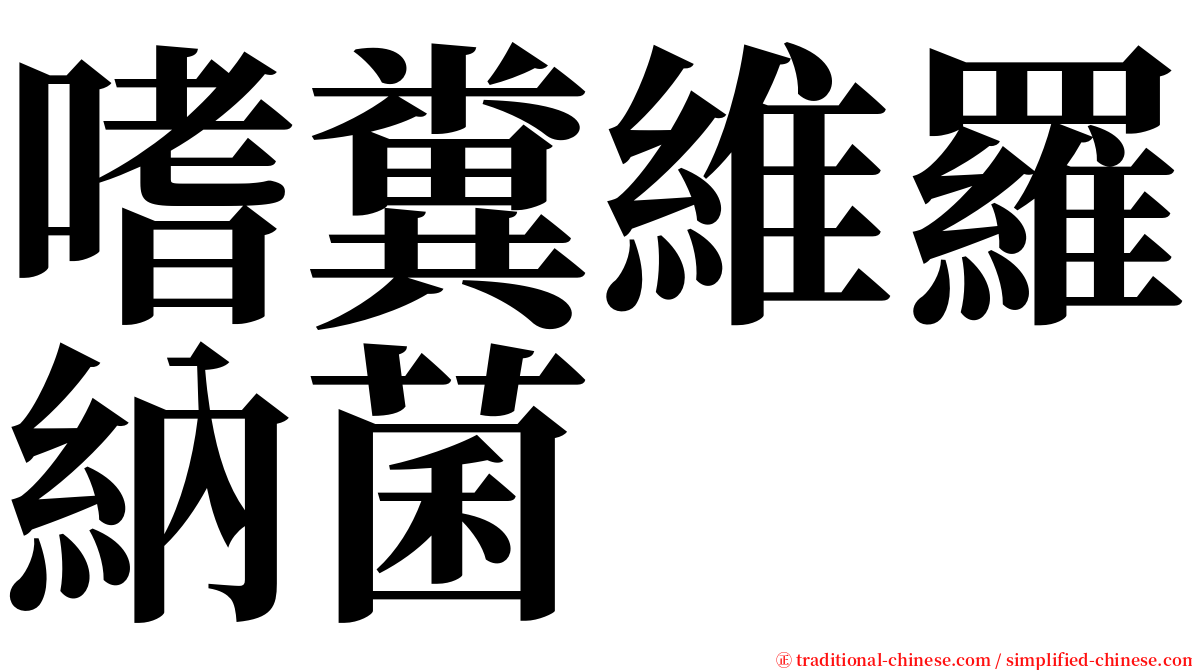 嗜糞維羅納菌 serif font