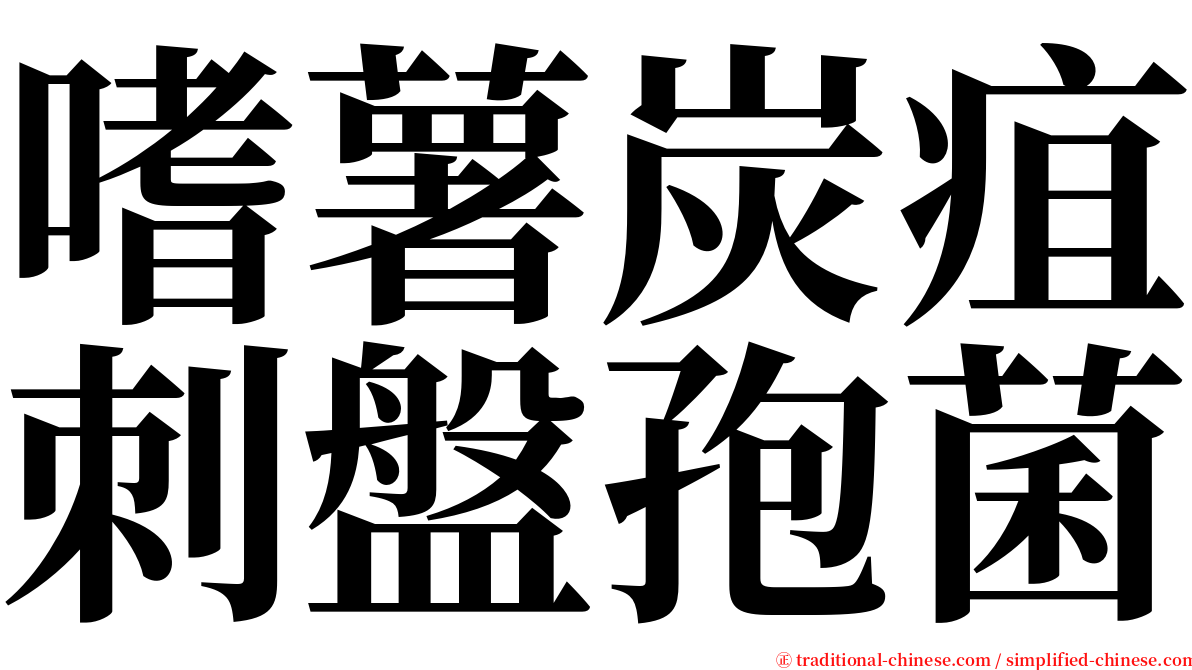 嗜薯炭疽刺盤孢菌 serif font