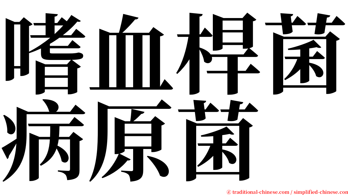 嗜血桿菌病原菌 serif font