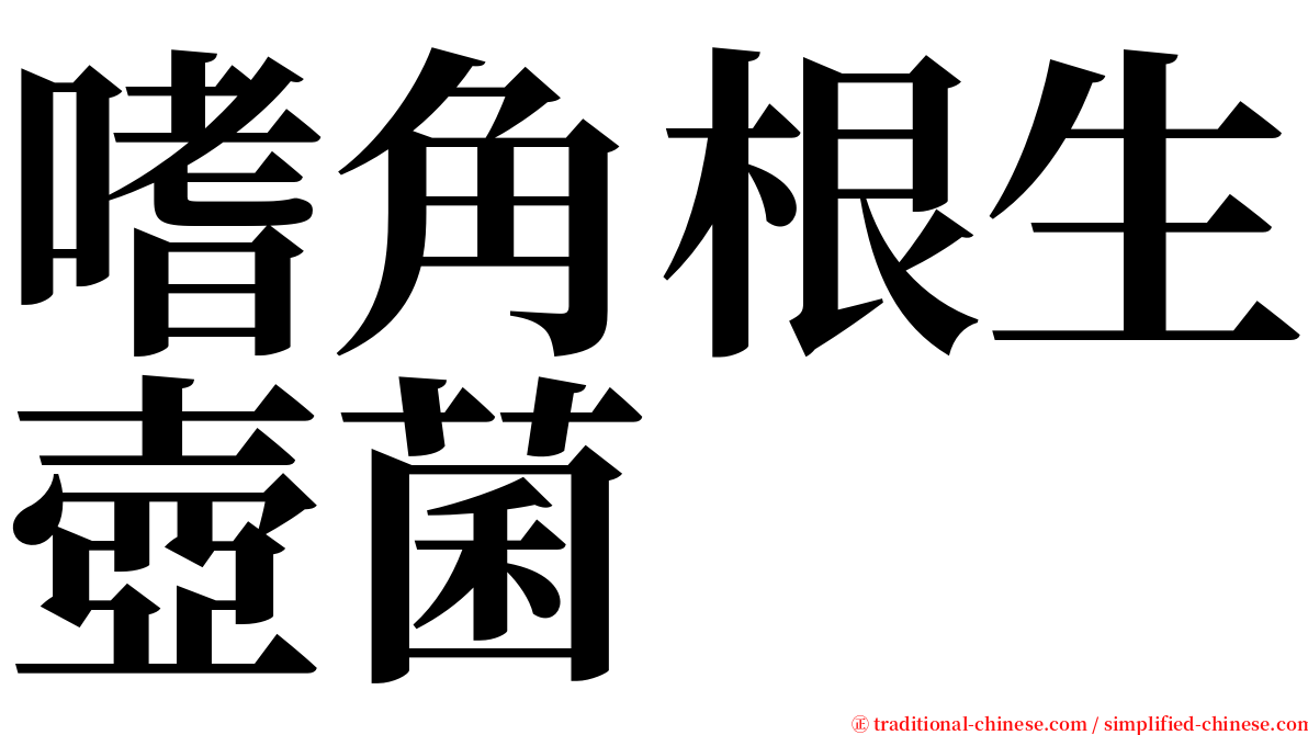 嗜角根生壺菌 serif font