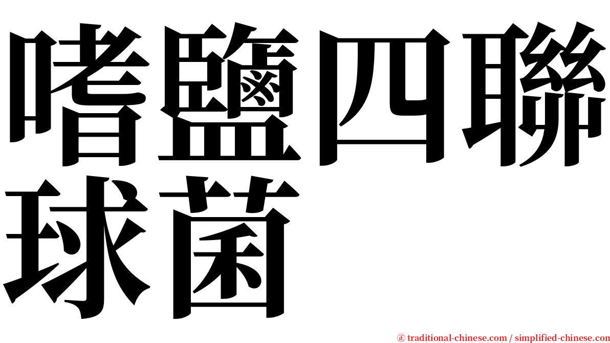 嗜鹽四聯球菌 serif font