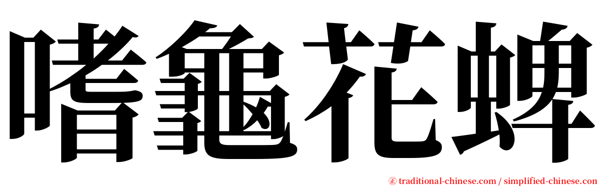 嗜龜花蜱 serif font