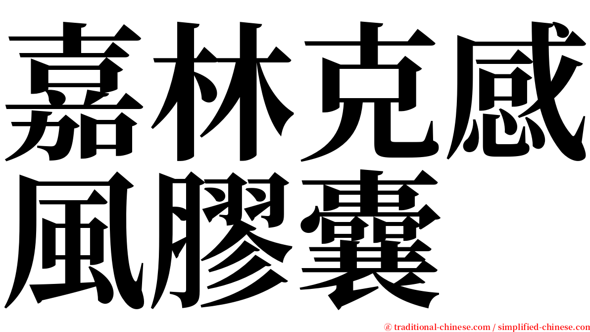 嘉林克感風膠囊 serif font