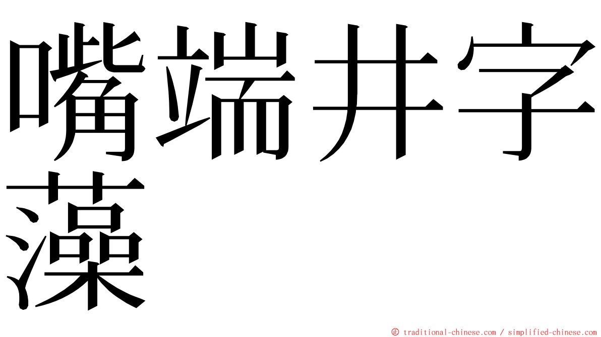 嘴端井字藻 ming font