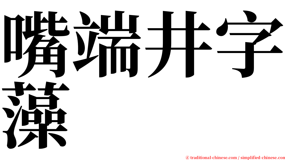 嘴端井字藻 serif font