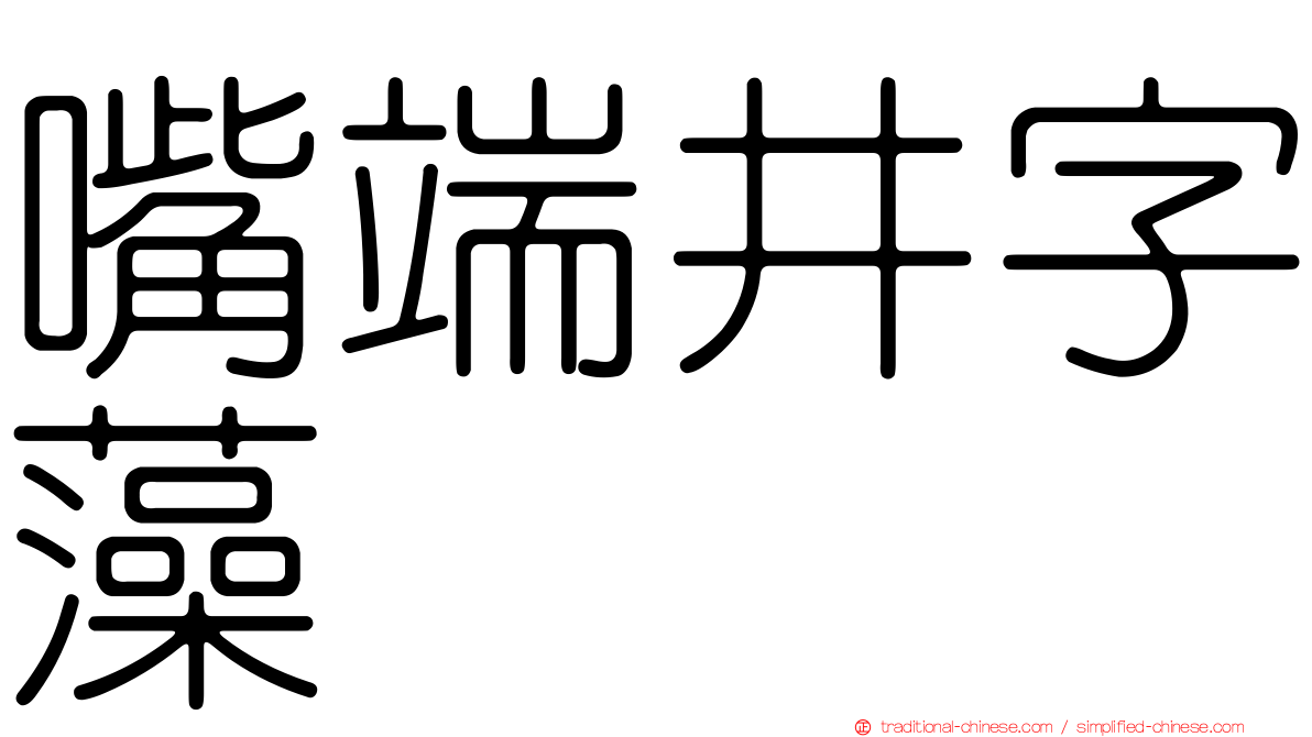 嘴端井字藻