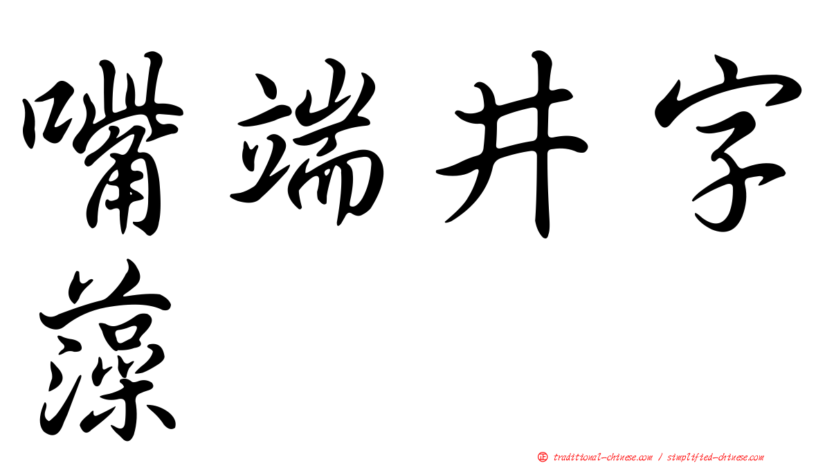 嘴端井字藻