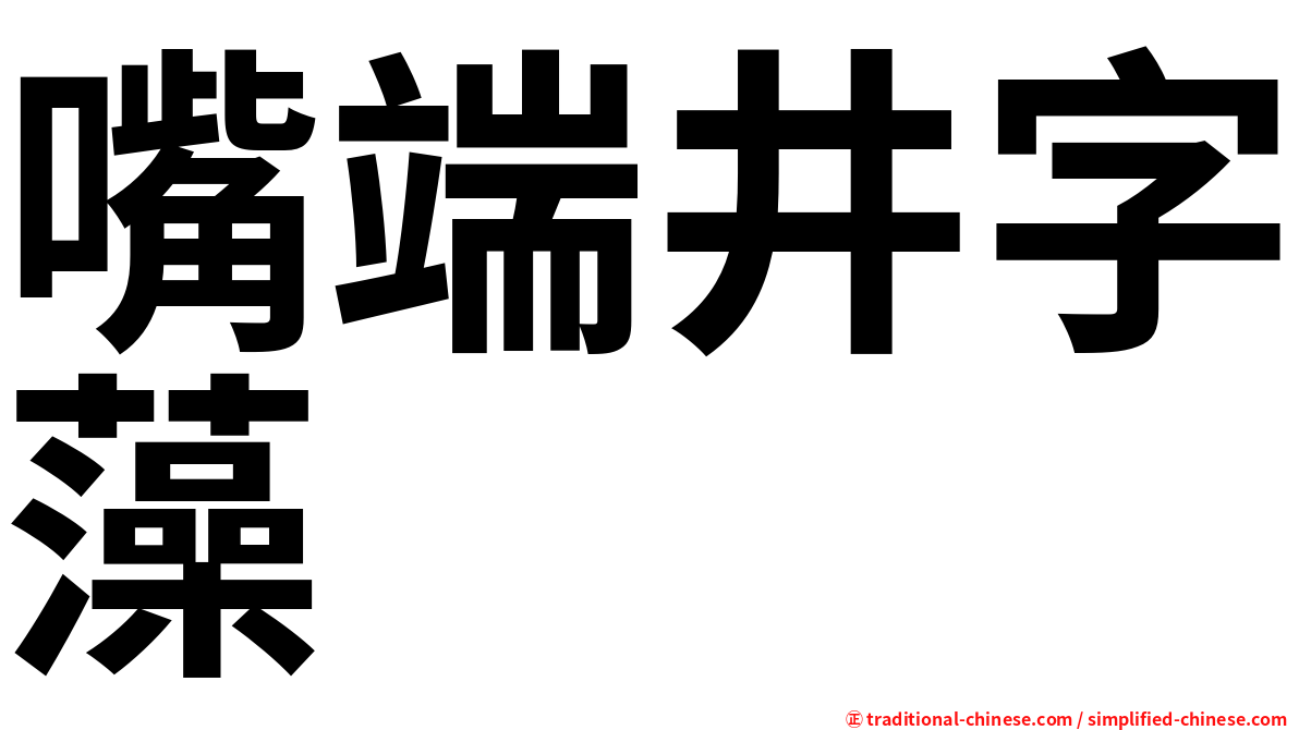 嘴端井字藻