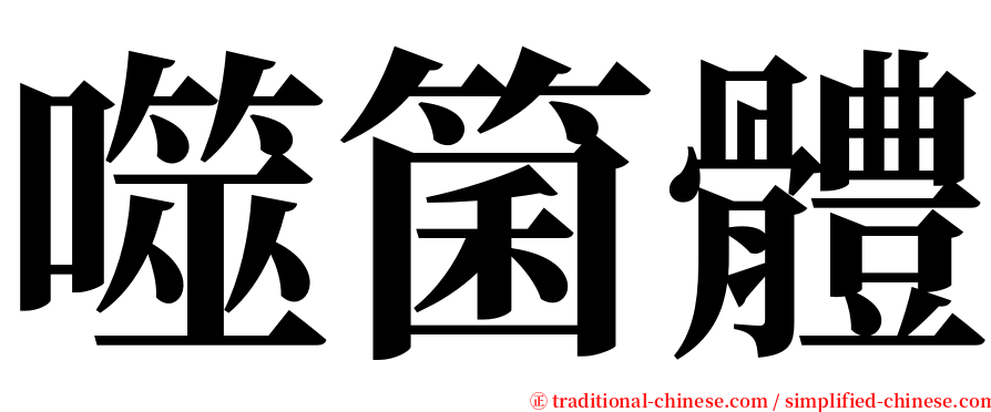 噬箘體 serif font