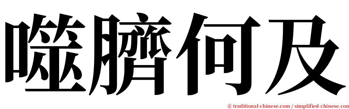 噬臍何及 serif font