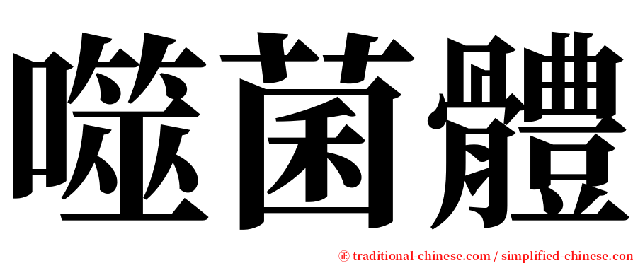 噬菌體 serif font