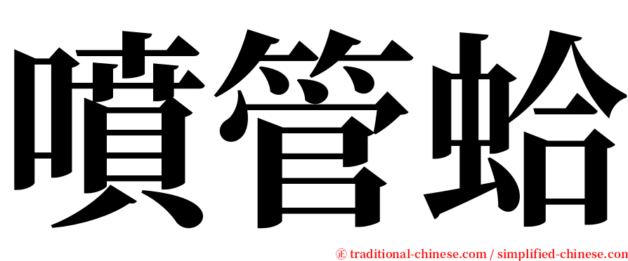 噴管蛤 serif font