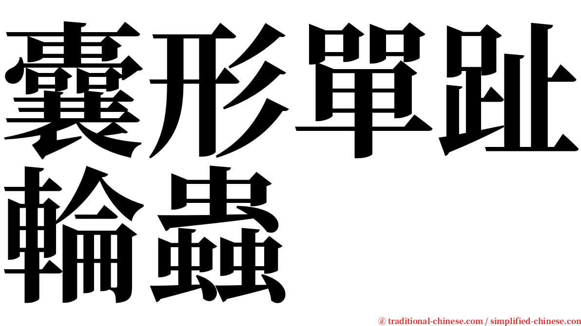 囊形單趾輪蟲 serif font