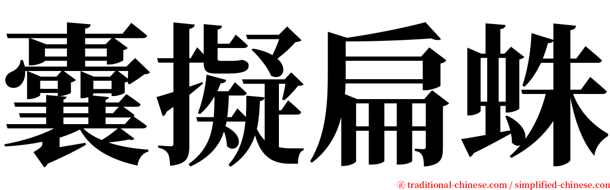 囊擬扁蛛 serif font