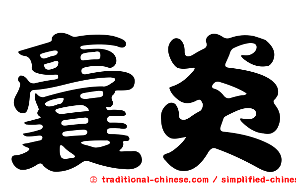 囊炎