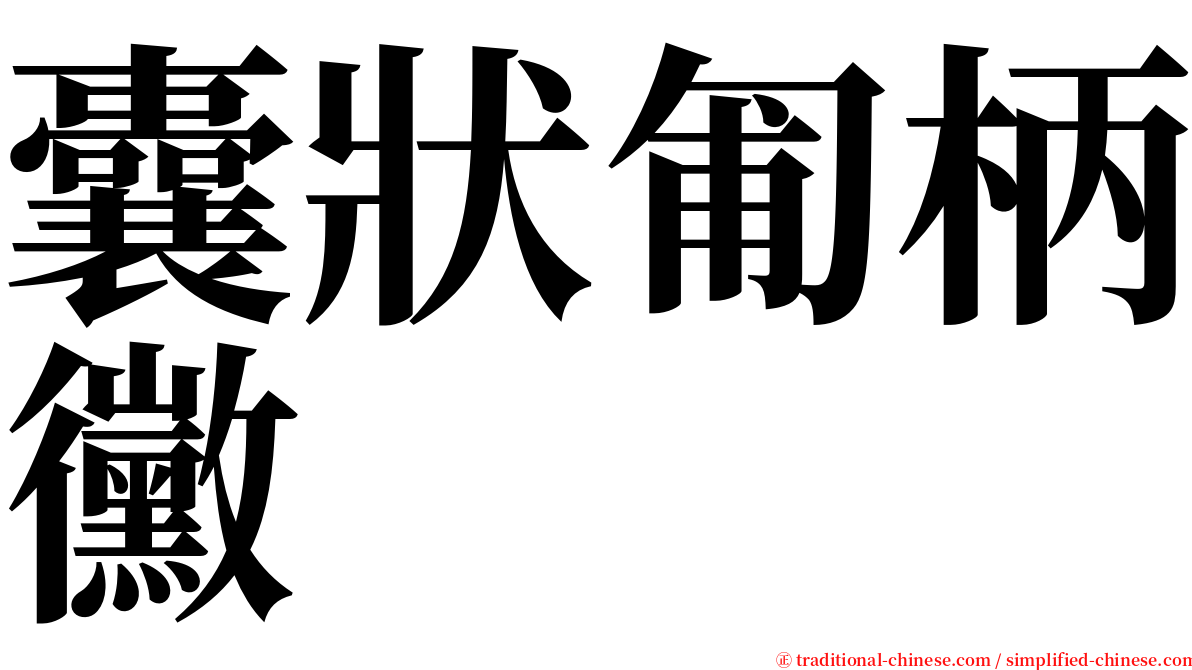 囊狀匍柄黴 serif font