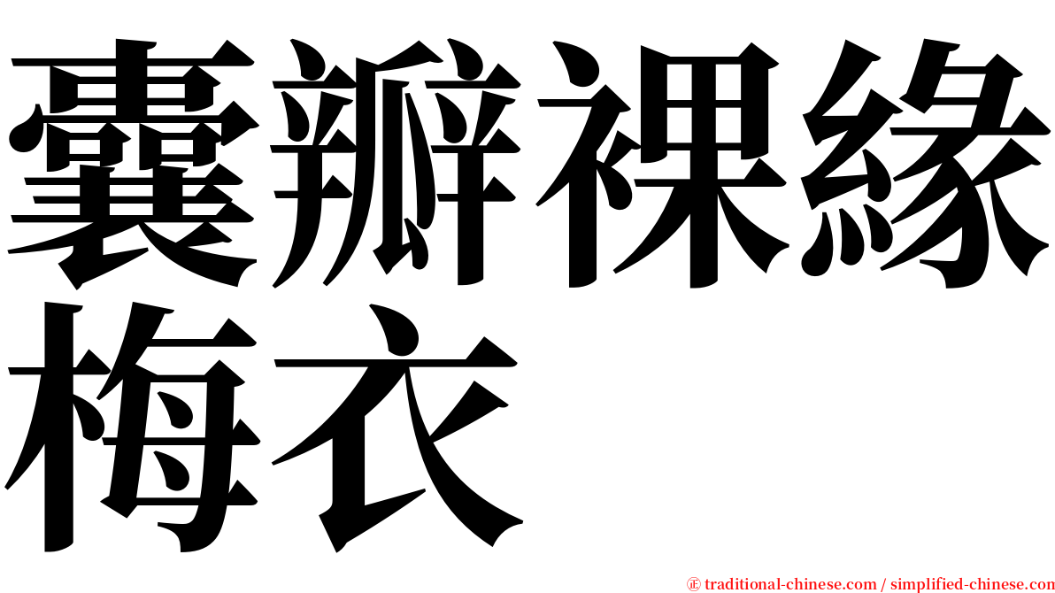 囊瓣裸緣梅衣 serif font