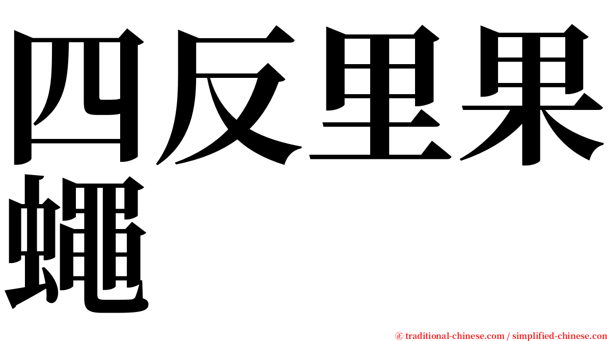 四反里果蠅 serif font