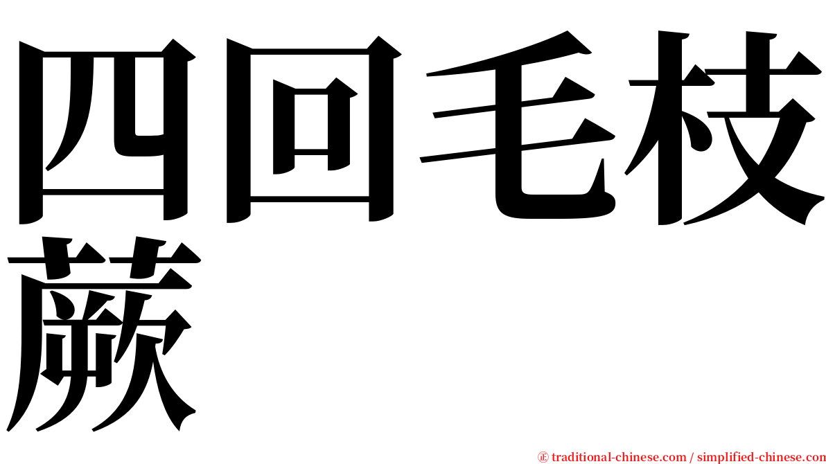 四回毛枝蕨 serif font